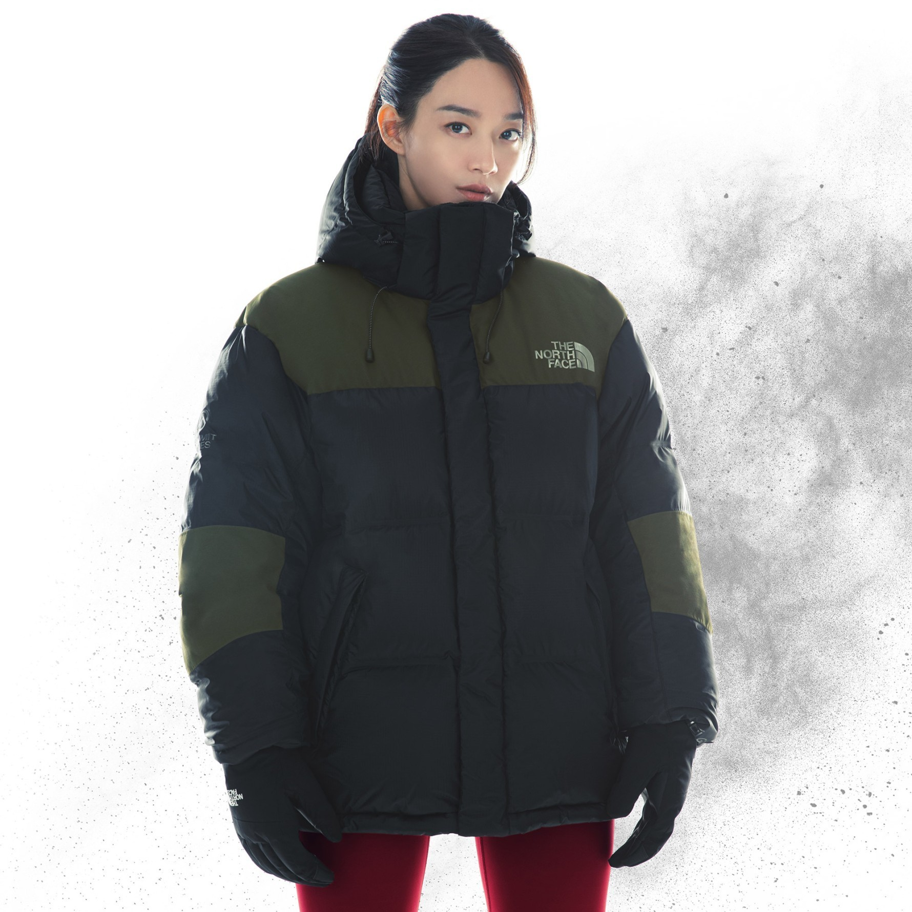 【THE NORTH FACE】SUMMIT PRO DOWN JACKET★正規品★